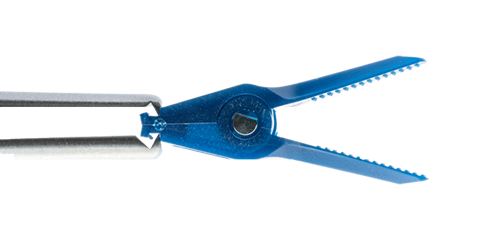Détail des mâchoires striées (jagged) d'un clamp microvasculaire Keisei bleu